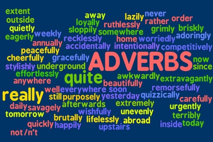 Quiz 2 verbs and adverbs