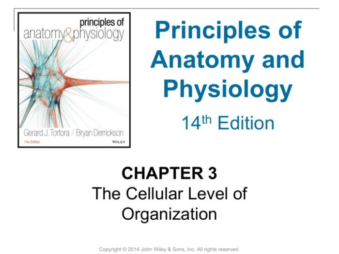 Principles of anatomy and physiology 14th edition