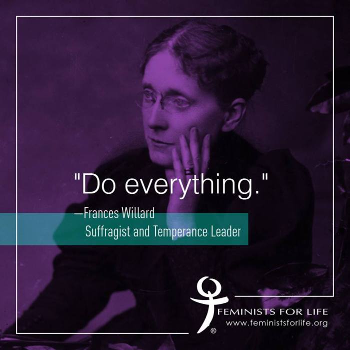 Frances willard led the victorian campaign against