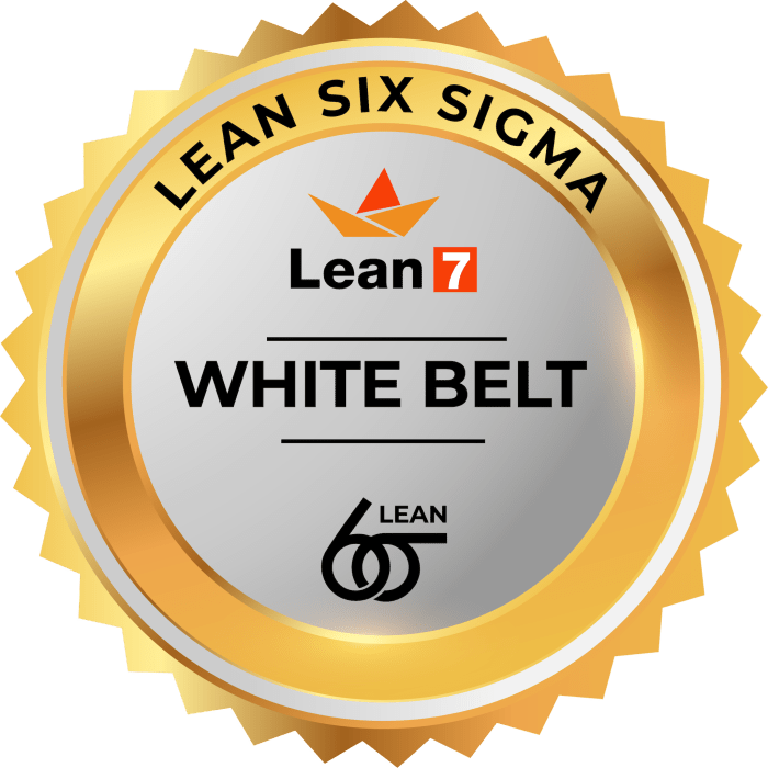 Vha standardized lean white belt test answers