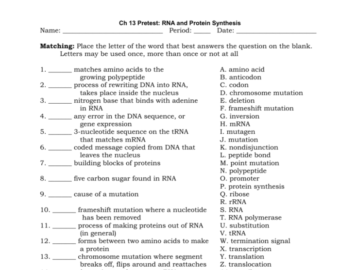 Protein synthesis webquest answer key pdf