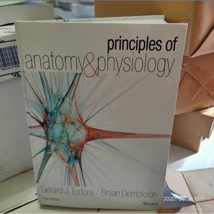 Principles of anatomy and physiology 14th edition