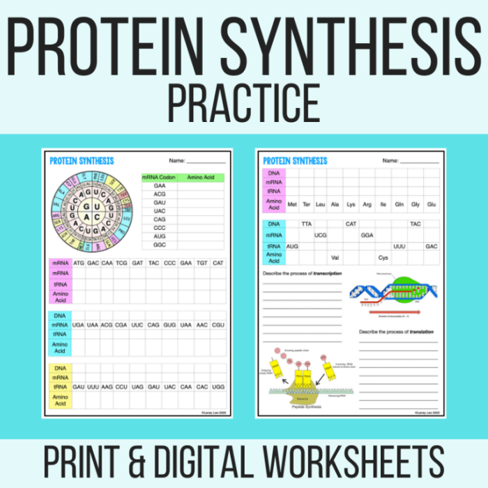 Protein synthesis webquest answer key pdf